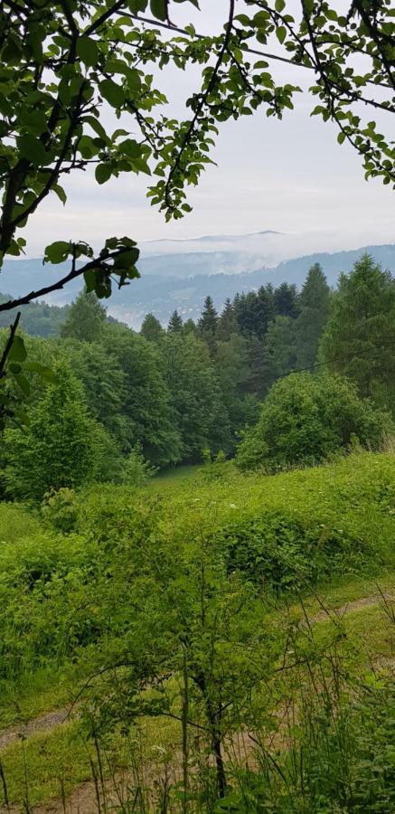 Domek Na Folwarku Tarnawa Dolna  Zewnętrze zdjęcie